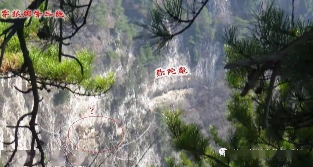 上海石化(600688.SH):2023年柴油销售收入227.52亿元 汽油销售收入287.06亿元